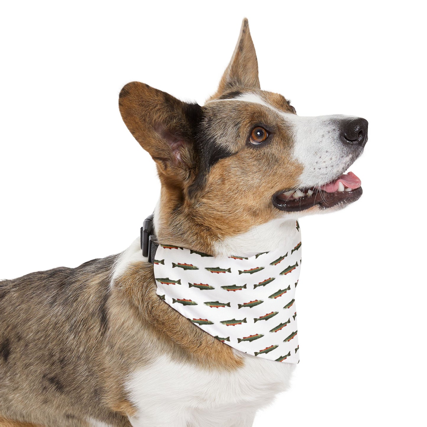 Fishing-Themed Pet Bandana Collar for Dog Lovers, Dog Accessory, Pet Fashion, Outdoor Adventure, Gift for Pet Owners