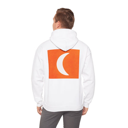 Zen Frog & Moon Unisex Hoodie, Cozy Sweatshirt for Relaxation, Gifts for Nature Lovers, Festival Wear, Everyday Comfort