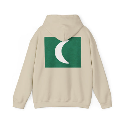 Zen Frog Hooded Sweatshirt - Cozy Unisex Hoodie, Casual Wear, Spring Fashion, Unique Gifts, Streetwear Style, Simple Moon Design, Gift for Him, Gift for Her
