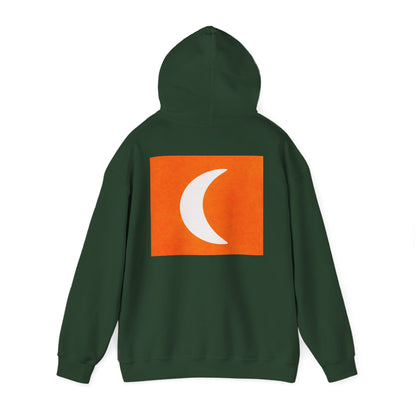 Zen Frog & Moon Unisex Hoodie, Cozy Sweatshirt for Relaxation, Gifts for Nature Lovers, Festival Wear, Everyday Comfort