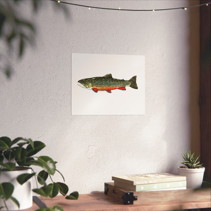 Trout Fishing Matte Horizontal Poster, Rustic Wall Art, Nature Lover Gift, Fishing Decor, Farmhouse Wall Decor
