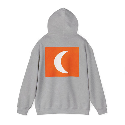 Zen Frog & Moon Unisex Hoodie, Cozy Sweatshirt for Relaxation, Gifts for Nature Lovers, Festival Wear, Everyday Comfort