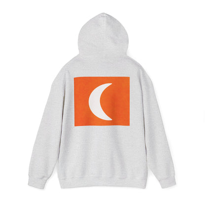 Zen Frog & Moon Unisex Hoodie, Cozy Sweatshirt for Relaxation, Gifts for Nature Lovers, Festival Wear, Everyday Comfort
