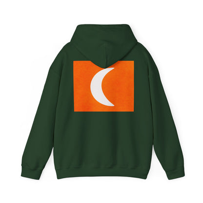 Zen Frog & Moon Unisex Hoodie, Cozy Sweatshirt for Relaxation, Gifts for Nature Lovers, Festival Wear, Everyday Comfort