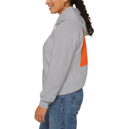 Zen Frog & Moon Unisex Hoodie, Cozy Sweatshirt for Relaxation, Gifts for Nature Lovers, Festival Wear, Everyday Comfort