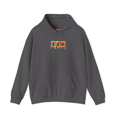 Zen Frog Hooded Sweatshirt - Cozy Unisex Hoodie, Casual Wear, Spring Fashion, Unique Gifts, Streetwear Style, Simple Moon Design, Gift for Him, Gift for Her