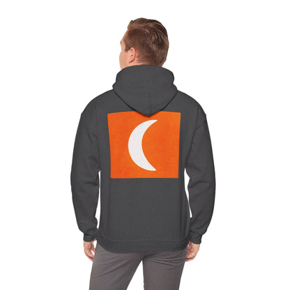Zen Frog & Moon Unisex Hoodie, Cozy Sweatshirt for Relaxation, Gifts for Nature Lovers, Festival Wear, Everyday Comfort