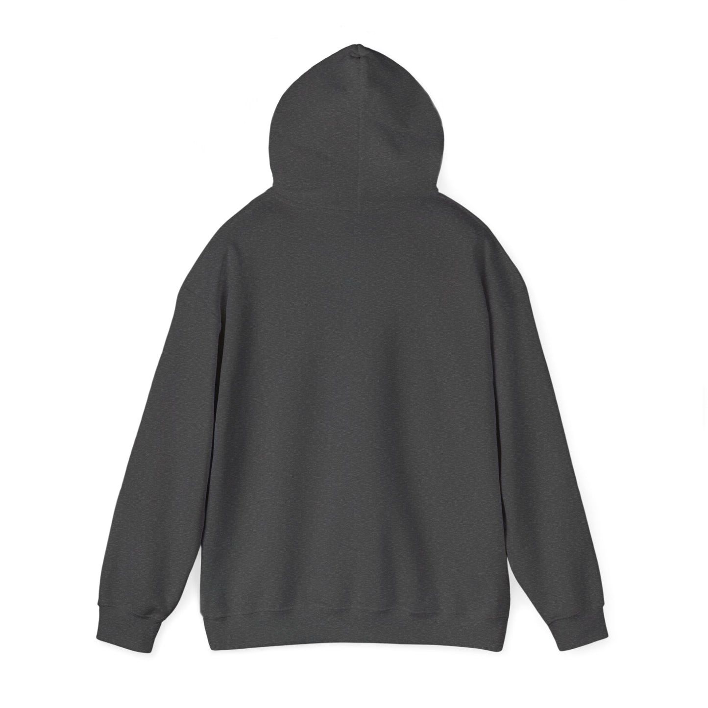 Minimalist Graphic Hoodie for Comfort, Cozy Sweatshirt for Everyday Wear, Trendy Hooded Pullover, Casual Gift for Friends