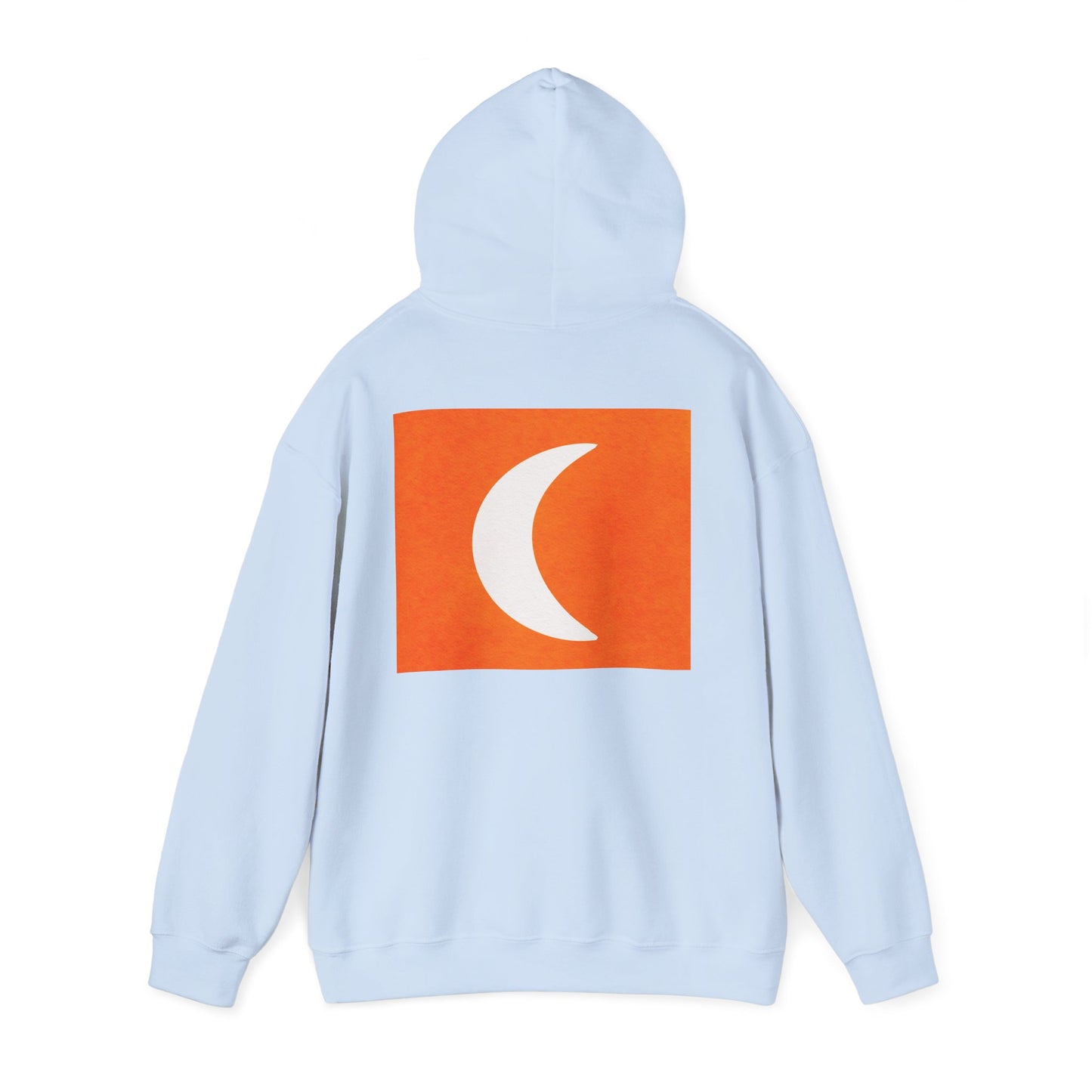 Zen Frog & Moon Unisex Hoodie, Cozy Sweatshirt for Relaxation, Gifts for Nature Lovers, Festival Wear, Everyday Comfort