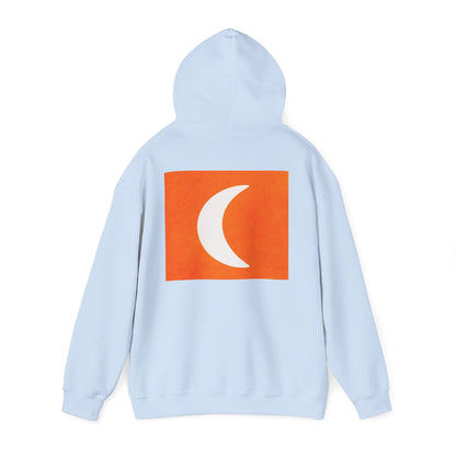 Zen Frog & Moon Unisex Hoodie, Cozy Sweatshirt for Relaxation, Gifts for Nature Lovers, Festival Wear, Everyday Comfort