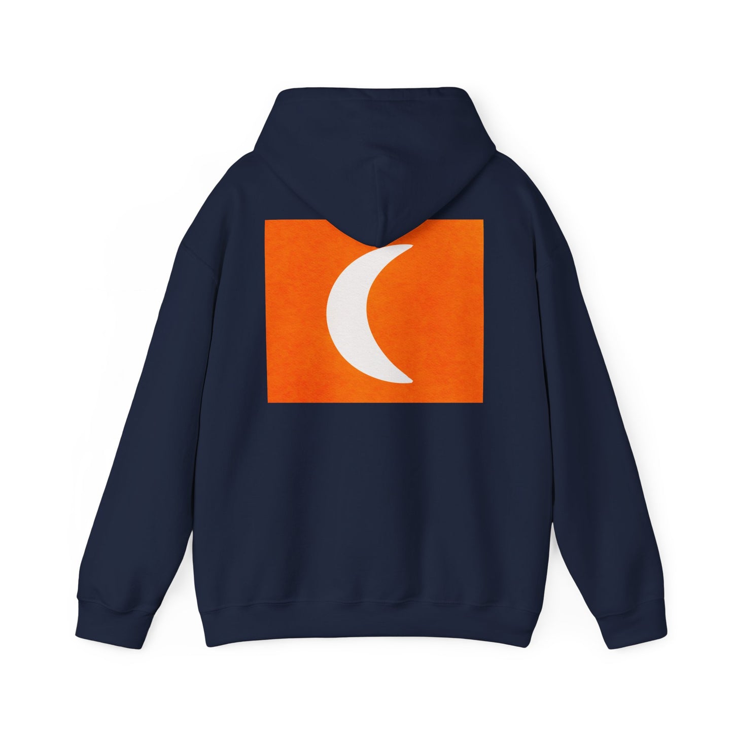 Zen Frog & Moon Unisex Hoodie, Cozy Sweatshirt for Relaxation, Gifts for Nature Lovers, Festival Wear, Everyday Comfort