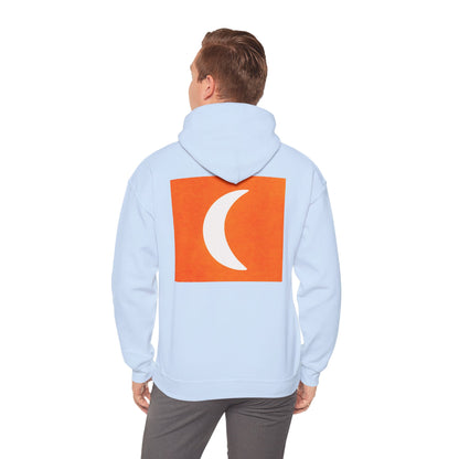 Zen Frog & Moon Unisex Hoodie, Cozy Sweatshirt for Relaxation, Gifts for Nature Lovers, Festival Wear, Everyday Comfort