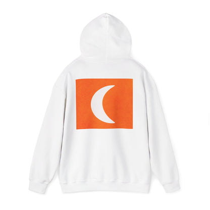 Zen Frog & Moon Unisex Hoodie, Cozy Sweatshirt for Relaxation, Gifts for Nature Lovers, Festival Wear, Everyday Comfort