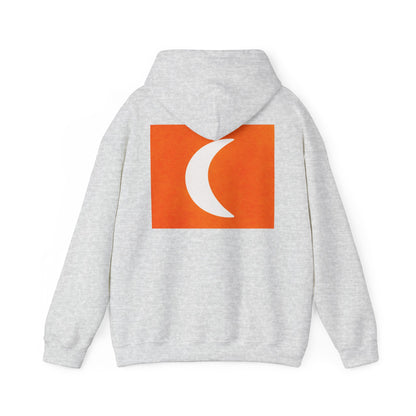 Zen Frog & Moon Unisex Hoodie, Cozy Sweatshirt for Relaxation, Gifts for Nature Lovers, Festival Wear, Everyday Comfort