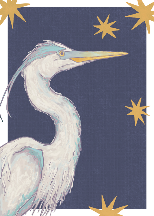 February 2026 Mail Club Print