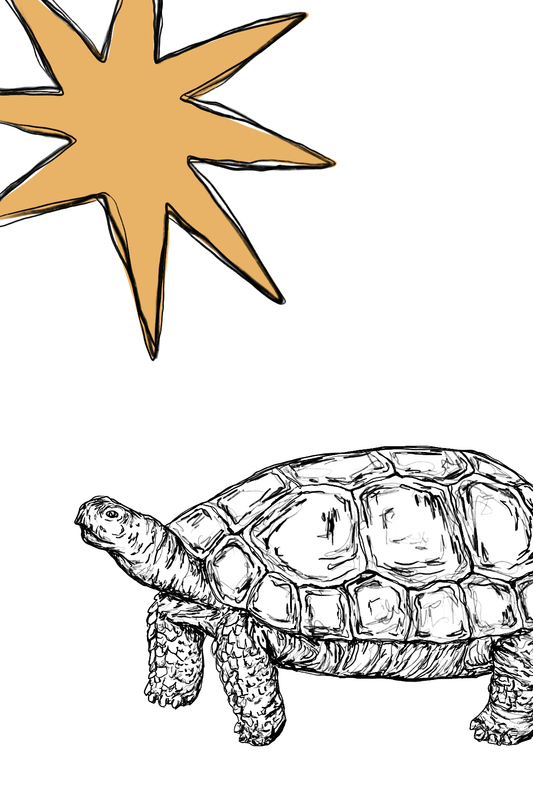 February 2026 Mail Club Print