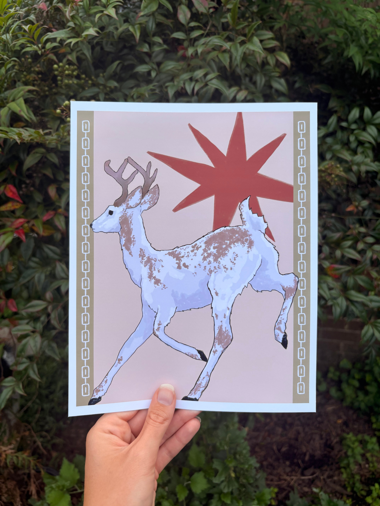 Piebald Star Art Print