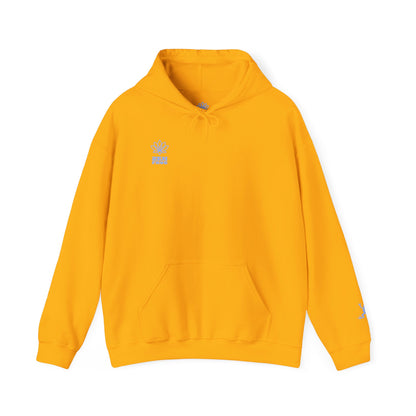 Artistic Unisex Hooded Sweatshirt - Cozy Streetwear for Comfort, Gift for Art Lovers, Perfect for Fall, Casual Style