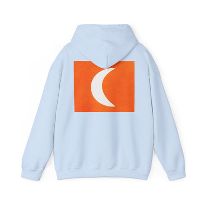 Zen Frog & Moon Unisex Hoodie, Cozy Sweatshirt for Relaxation, Gifts for Nature Lovers, Festival Wear, Everyday Comfort