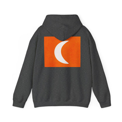 Zen Frog & Moon Unisex Hoodie, Cozy Sweatshirt for Relaxation, Gifts for Nature Lovers, Festival Wear, Everyday Comfort