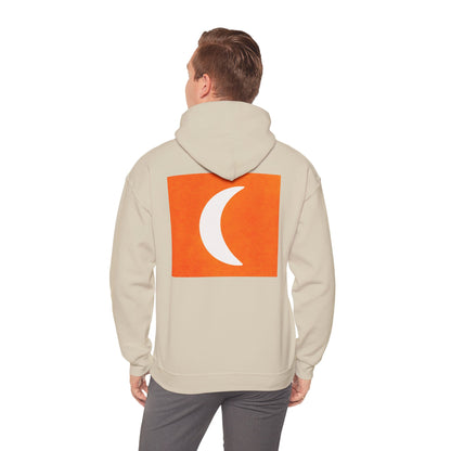 Zen Frog & Moon Unisex Hoodie, Cozy Sweatshirt for Relaxation, Gifts for Nature Lovers, Festival Wear, Everyday Comfort